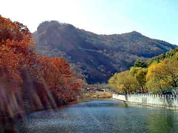 澳门天天开奖免费资料，大鹏背景